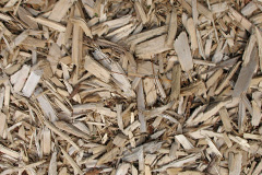 biomass boilers Eaton